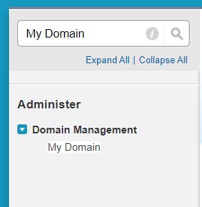 Okta_my_domain.jpg